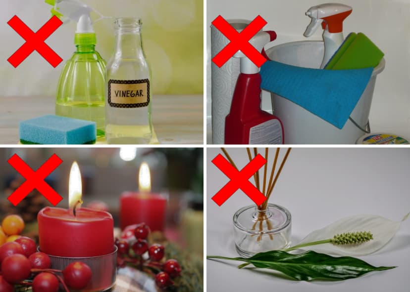 Jake at breaking point